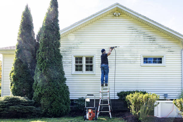 Best Affordable Power Washing  in Thornton, IL